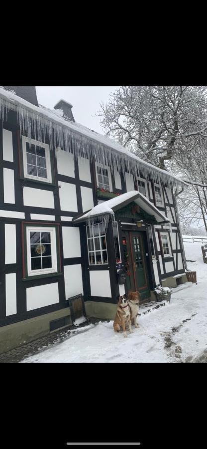 Pensjonat Berghof Schmitte Winterberg Zewnętrze zdjęcie