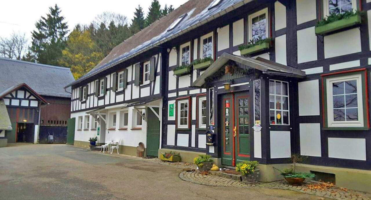 Pensjonat Berghof Schmitte Winterberg Zewnętrze zdjęcie