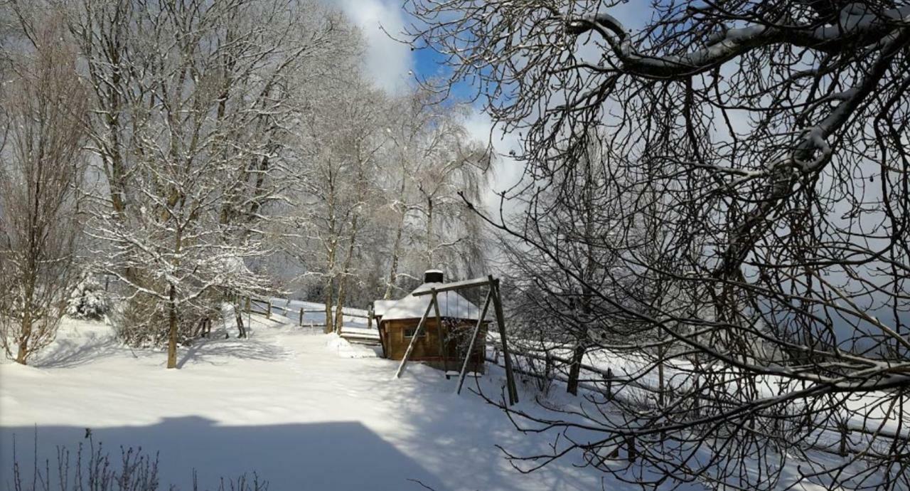 Pensjonat Berghof Schmitte Winterberg Zewnętrze zdjęcie