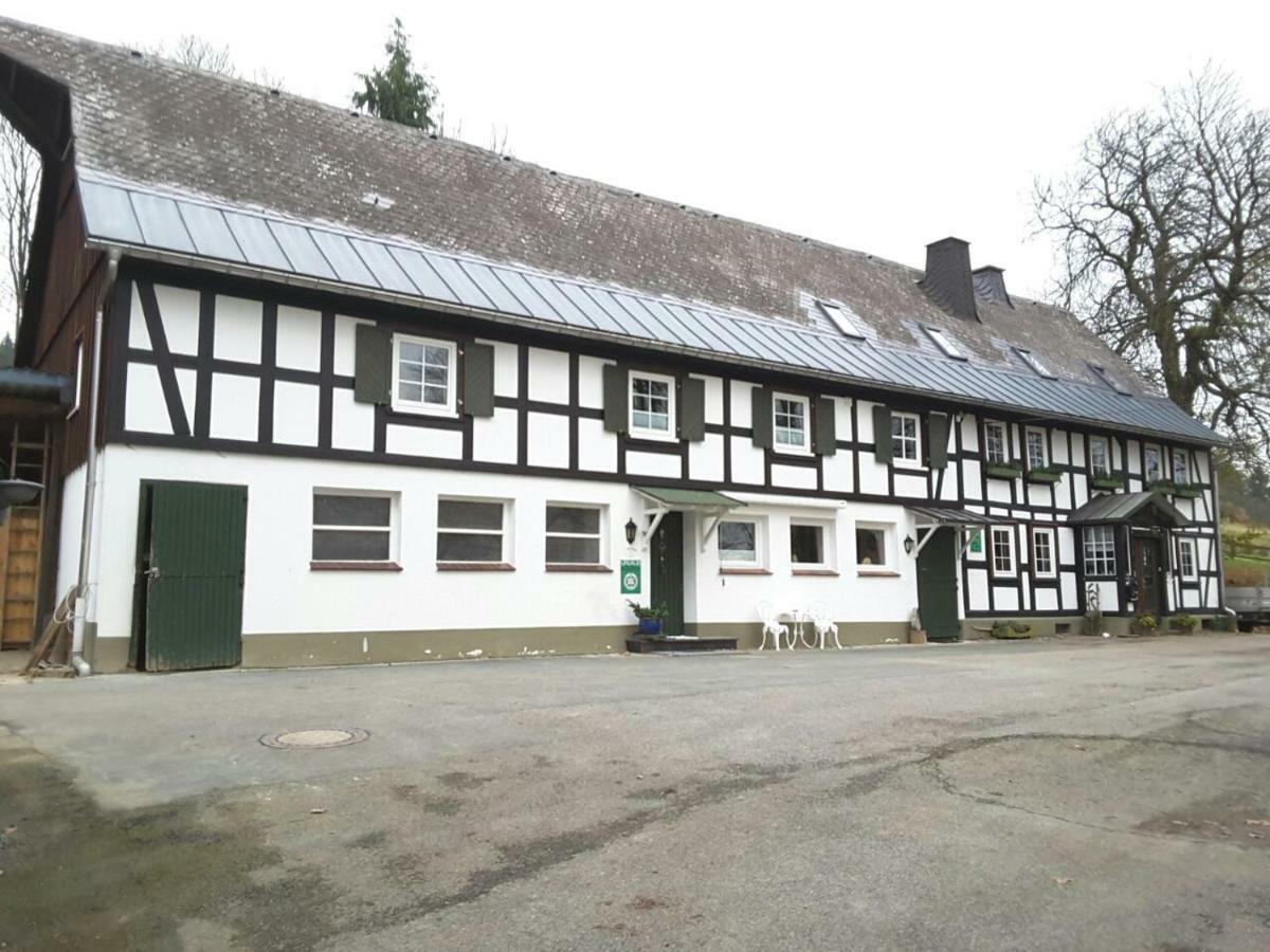 Pensjonat Berghof Schmitte Winterberg Zewnętrze zdjęcie