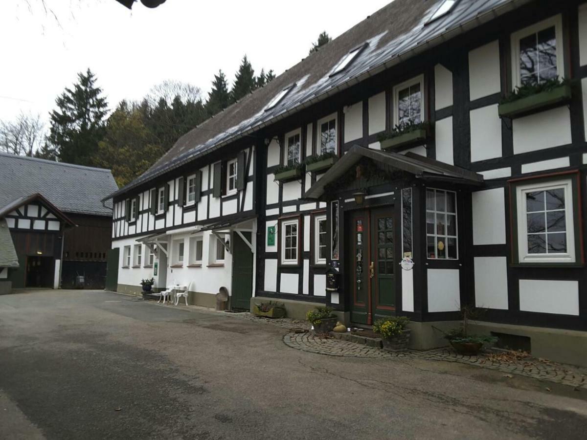 Pensjonat Berghof Schmitte Winterberg Zewnętrze zdjęcie