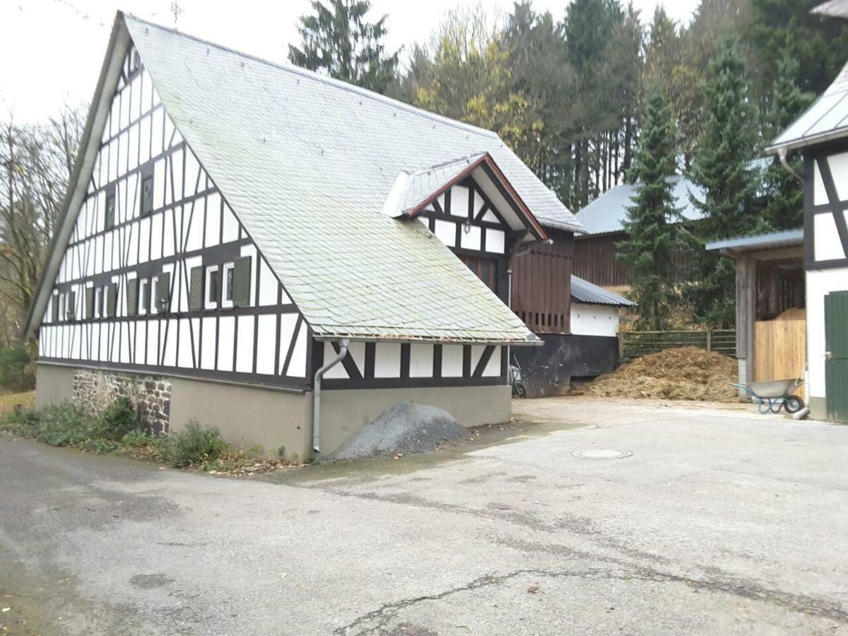 Pensjonat Berghof Schmitte Winterberg Zewnętrze zdjęcie