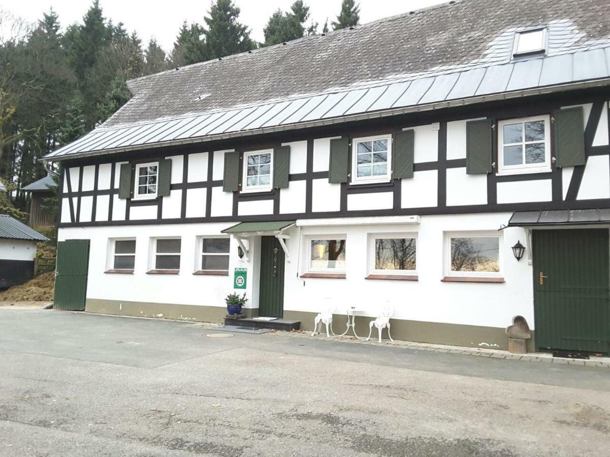 Pensjonat Berghof Schmitte Winterberg Zewnętrze zdjęcie